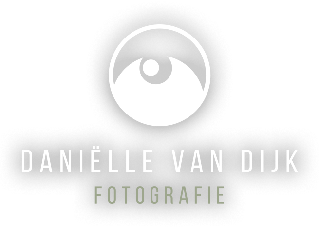 logo-danielle-van-dijk-home